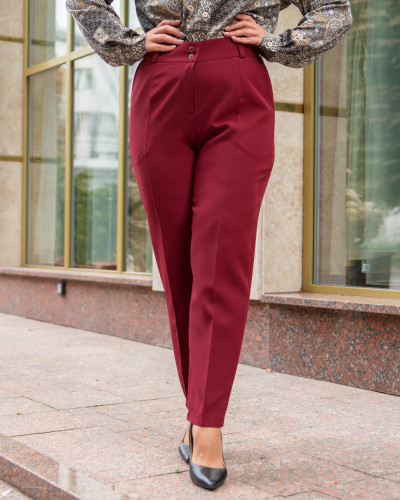 Брюки  Alenka Plus 1731-13