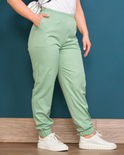 Брюки Alenka Plus 1738-4