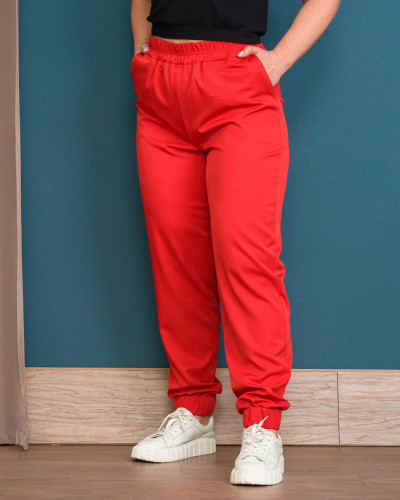 Брюки Alenka Plus 1738-5