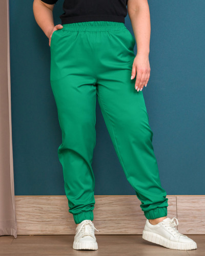 Брюки Alenka Plus 1738-7