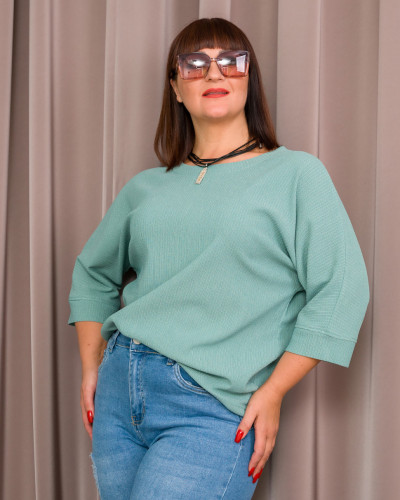 Блуза  Alenka Plus 1581-3